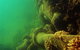 Wreck Diving At Magnetic Island - thumb 0