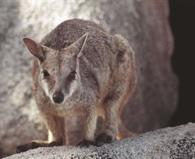 Arcadia At Magnetic Island - Accommodation in Bendigo 2