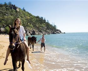Horseshoe Bay - Accommodation in Bendigo 1