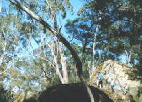 Dergholm State Park - Accommodation in Bendigo 0