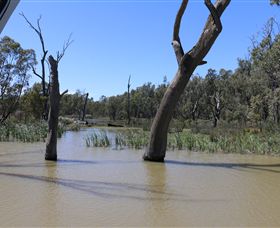 Wetlander Cruises - Accommodation in Bendigo 4