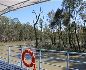 Wetlander Cruises - Accommodation in Bendigo 6