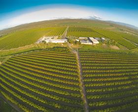 Golden Drop Winery - Accommodation in Bendigo 0