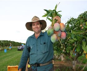 Golden Drop Winery - Accommodation in Bendigo 1
