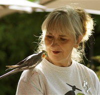 Simply Tomatoes - Accommodation in Bendigo