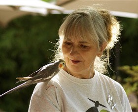 Simply Tomatoes - Accommodation in Bendigo 0