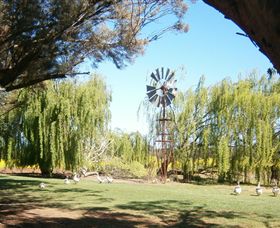 Simply Tomatoes - Accommodation in Bendigo 7