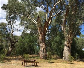 Bob Christensen Reserve - Accommodation in Bendigo 2