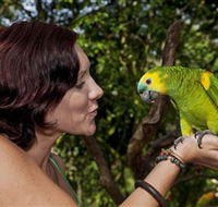 Birdworld Kuranda - Accommodation in Bendigo