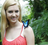Australian Butterfly Sanctuary - Accommodation in Bendigo