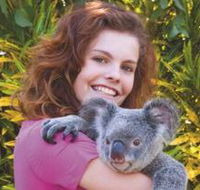 Kuranda Koala Gardens - Accommodation in Bendigo