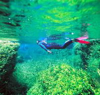 Piccaninnie Ponds Conservation Park