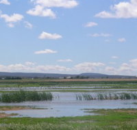 Fivebough Wetlands - Accommodation in Bendigo