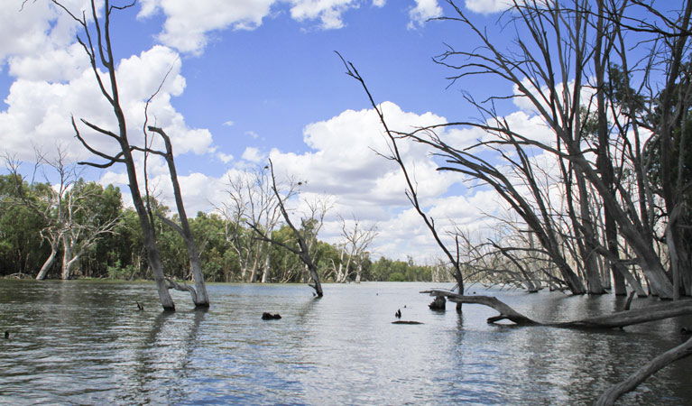  Accommodation in Bendigo