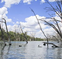 Murrumbidgee Valley National Park - Accommodation in Bendigo