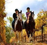 Billabong Ranch - Accommodation in Bendigo