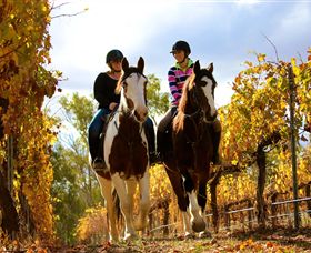 Billabong Ranch - Accommodation in Bendigo 0