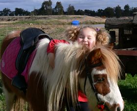Billabong Ranch - Accommodation in Bendigo 1