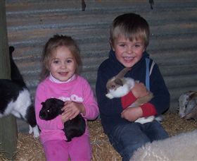 Billabong Ranch - Accommodation in Bendigo 3