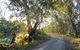 Alton Gallery - Echuca Moama Artists - thumb 0