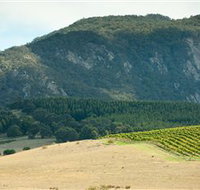 Langi Ghiran State Park - Accommodation in Bendigo