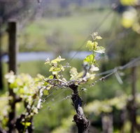 Mountainside Wines - Accommodation in Bendigo