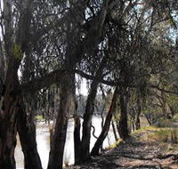 Mia Forest Drives Narrandera - Accommodation in Bendigo