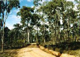  Accommodation in Bendigo
