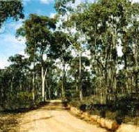 Paddys Ranges State Park - Accommodation in Bendigo