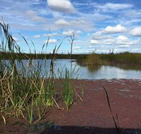 Gwydir Wetlands - Accommodation in Bendigo