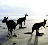 Hibiscus Coast - Accommodation in Bendigo