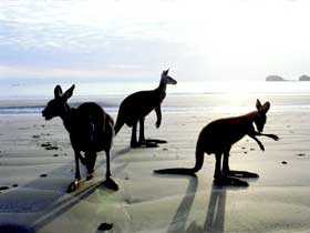 Hibiscus Coast - Accommodation in Bendigo 0