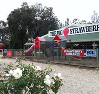 The Big Strawberry - Accommodation in Bendigo