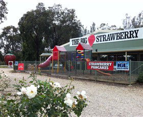 The Big Strawberry - Accommodation in Bendigo 0