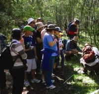 Warrumbungle National Park Discovery Program - Accommodation in Bendigo
