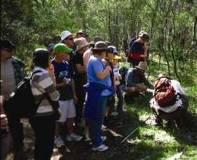 Warrumbungle National Park Discovery Program - Accommodation in Bendigo 0