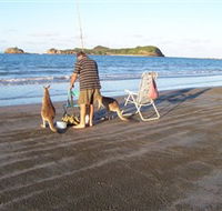 Cape Hillsborough National Park - Accommodation in Bendigo