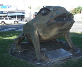 Big Cane Toad - Accommodation in Bendigo 0
