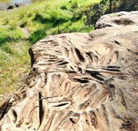 Terramungamine Rock Grooves - Accommodation in Bendigo