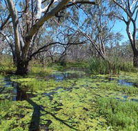Macquarie Valley Trails - Accommodation in Bendigo