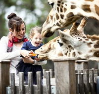 Taronga Western Plains Zoo Dubbo - Accommodation in Bendigo