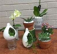 Cobram Florist - Accommodation in Bendigo