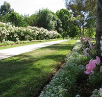 Barooga Botanical Gardens - Accommodation in Bendigo