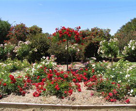 Barooga Botanical Gardens - Accommodation in Bendigo 2