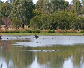 Cussen Park - Accommodation in Bendigo 0