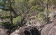 Ngaro Cultural Site - thumb 2