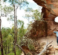 Pilliga National Park - Accommodation in Bendigo