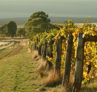 Captains Creek Organic Wines - Accommodation in Bendigo