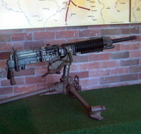 Woodpecker Gun - Accommodation in Bendigo