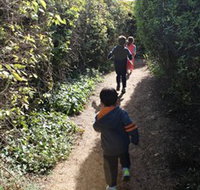 The Tangled Maze  Mistydowns Nursery - Accommodation in Bendigo